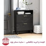 جاکفشی داشبوردی دو درب کد 011